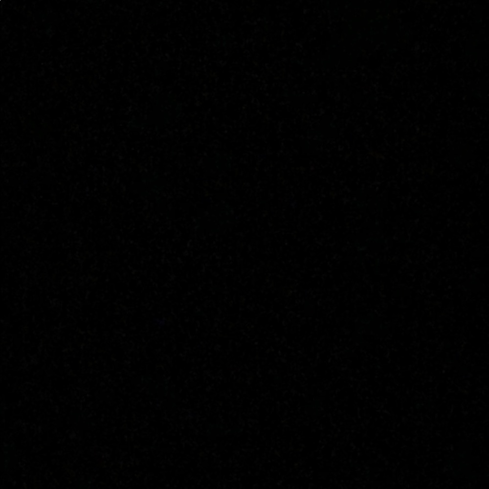 Meet your Posher, Ileana